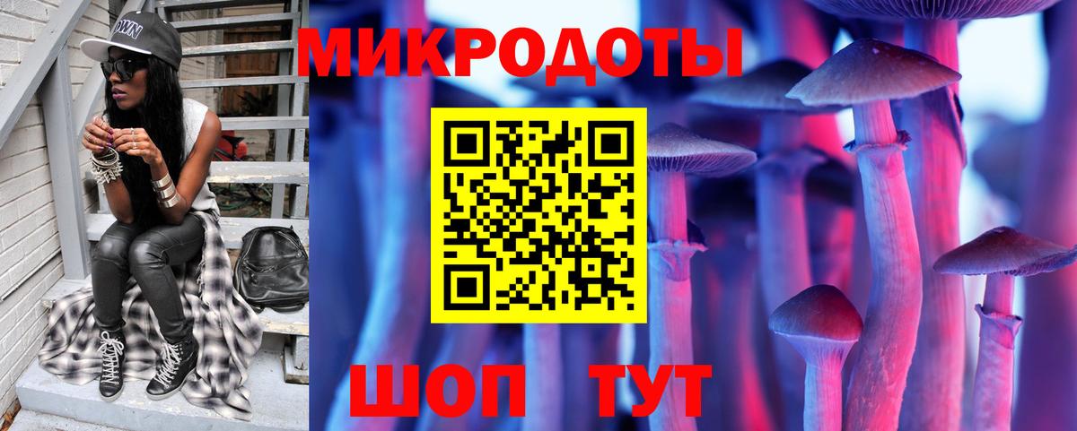 Псилоцибиновые грибы прущие грибы Магадан